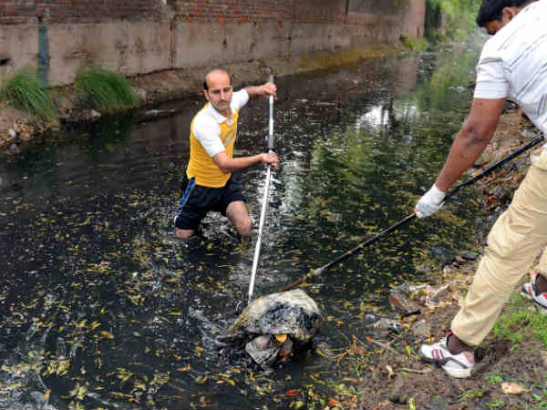तस्‍वीरों में सफाई अभियान व खास बातें
