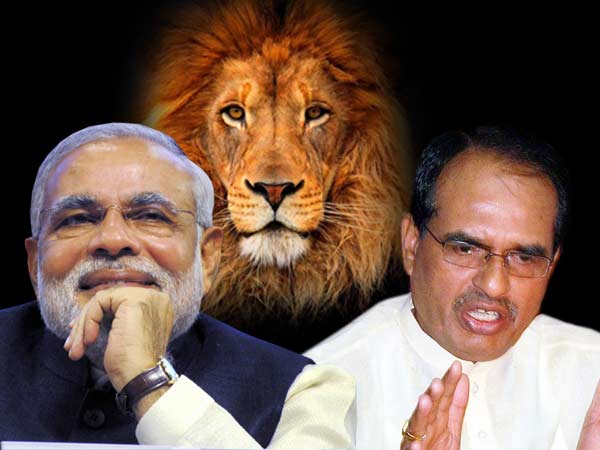 narendra-shivraj narendra-shivraj