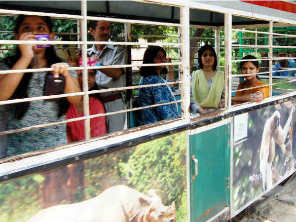 चिडि़याघर में डिंपल चिडि़याघर में डिंपल