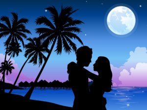 MP Government will protect Live in Relationship MP Government will protect Live in Relationship