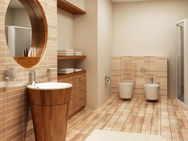 शौचालय शौचालय