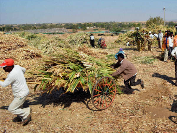 बारिश कब होगी?