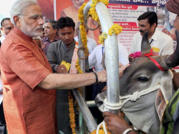 narendra modi narendra modi