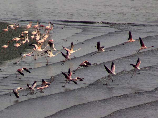 मुंबई मुंबई