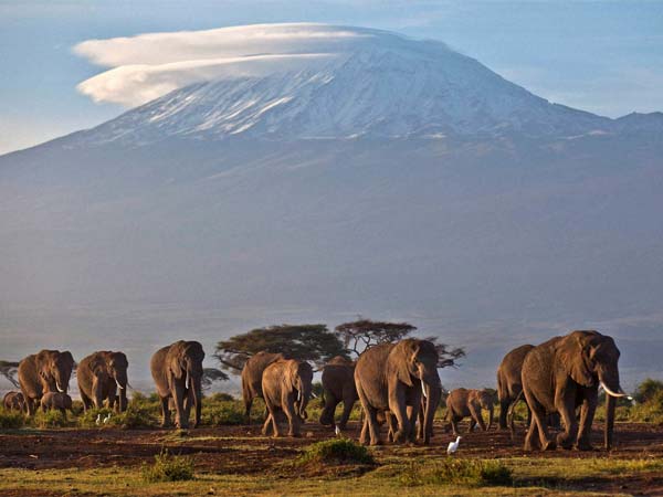 अफ्रीका के एक नेशनल पार्क में