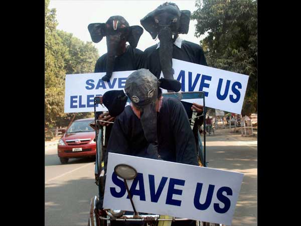 हाथियों को बचाएं 