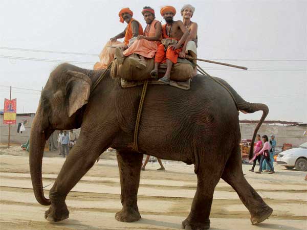 कुंभ मेले में हाथी
