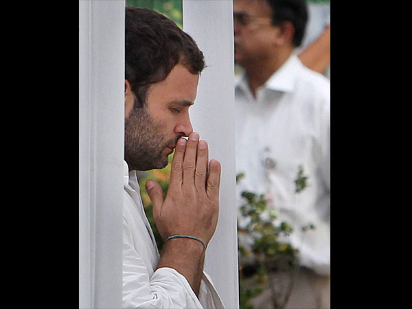 Congress Vice President Rahul Gandhi Congress Vice President Rahul Gandhi