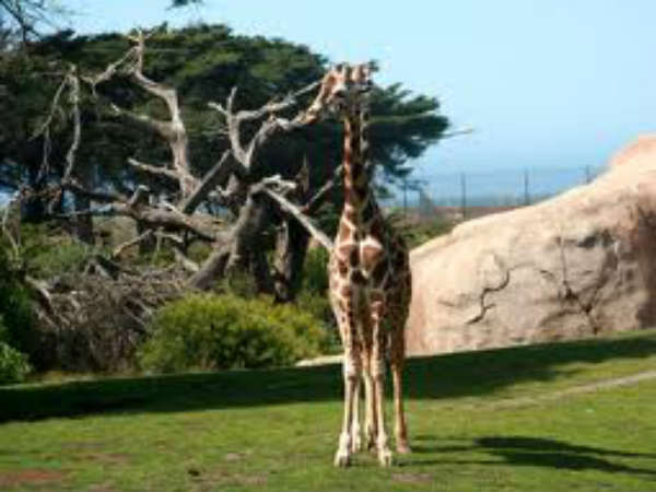 जब-जब पैदा होते हैं