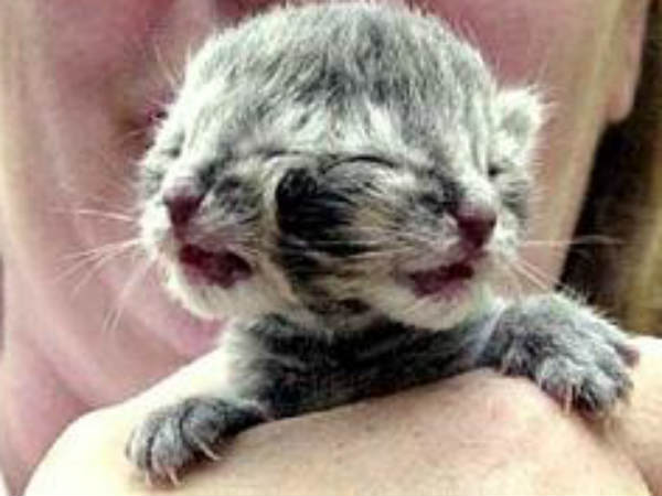  काल्‍पनिक कहानियों में 