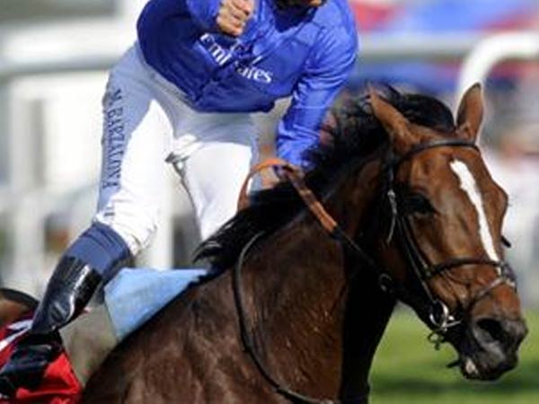 घोड़ी का प्रसव देखते है