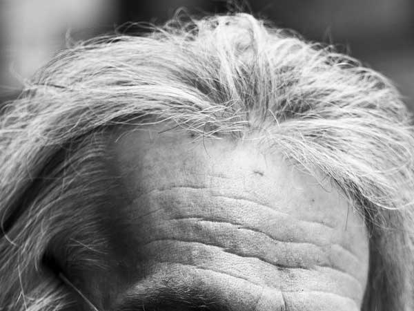 पूर्वज को देख रहें है