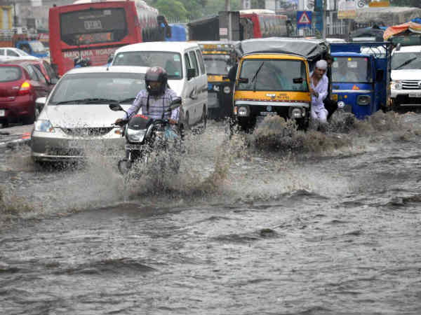 धान की रोपाई 