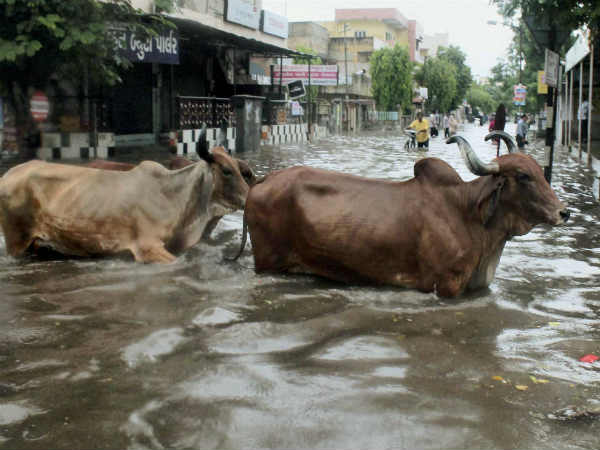 मुंबई में बारिश जारी 