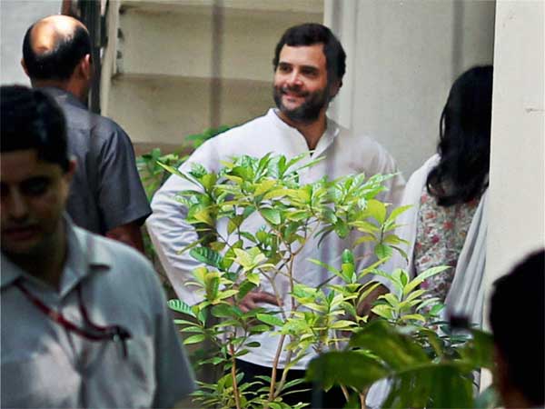 अपनी ही सेना से हारे राहुल