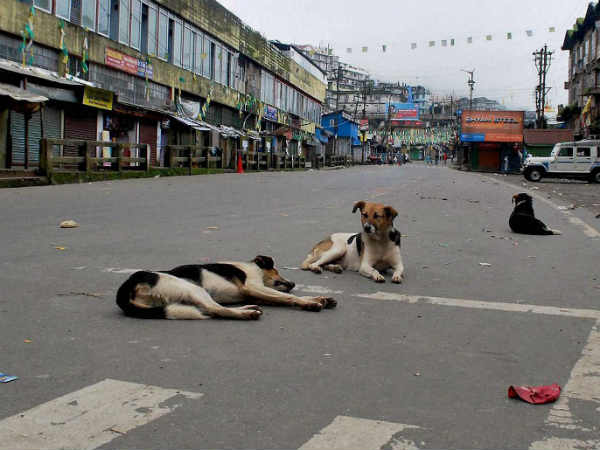 डर्जीलिंग में कर्फ्यू