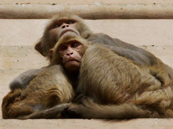 मां का प्‍यार