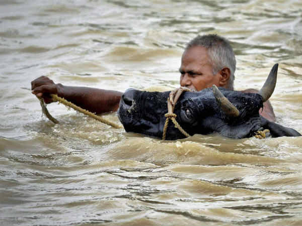 पटना में बाढ़ पटना में बाढ़