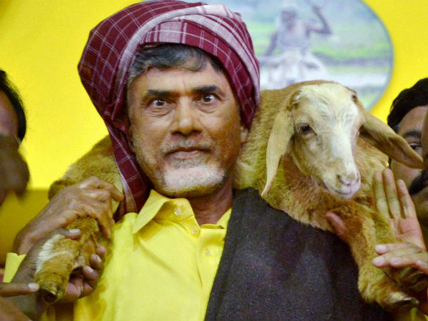 टीडीपी को 3 सीट पर समेटा