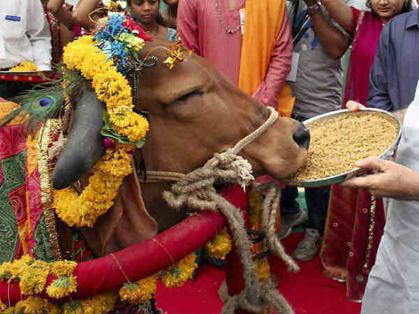  गुरुवार को करें