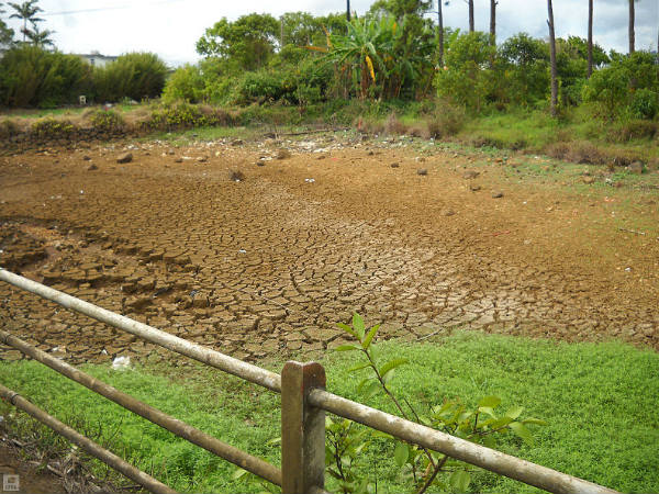 क्या बारिश की कमी का असर खेती पर दिखेगा?