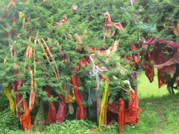 अन्य पीड़ा भी दूर