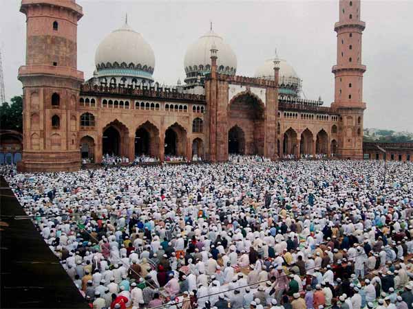 लाखों में खरीदे जाते है बकरे