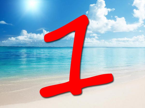 मूलांक 1