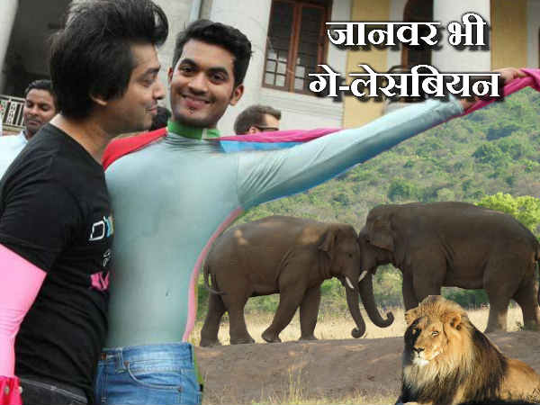 गे-लेस्बियन