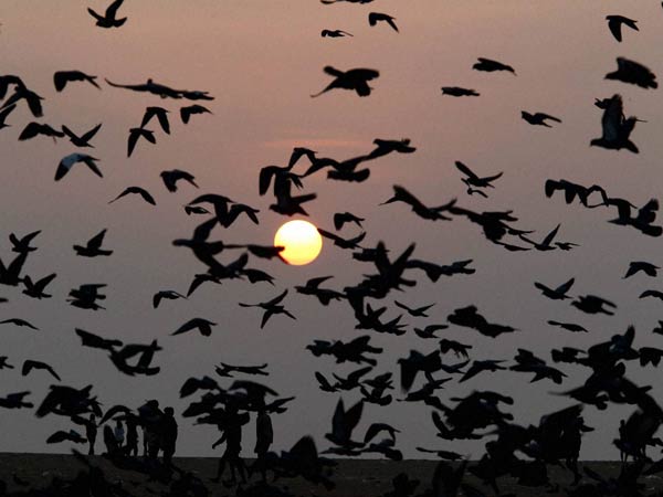 सुख शांति के लिये