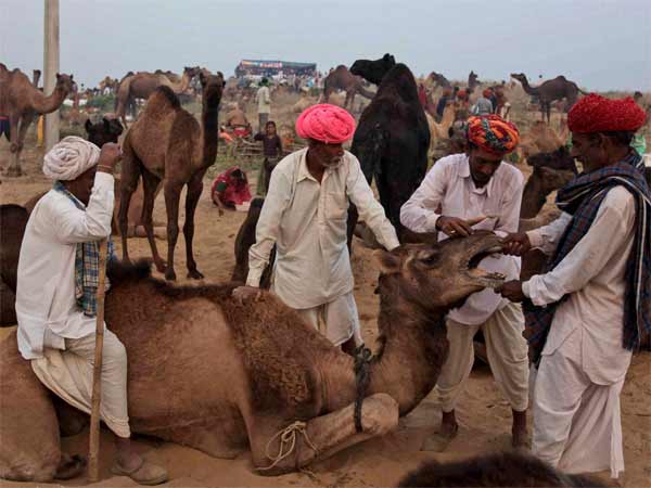 महोत्सव में ग्रामीण