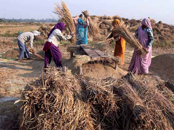 फाइटर नहीं होती