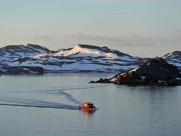ड्रैगन डांस करते चीन के लोग 