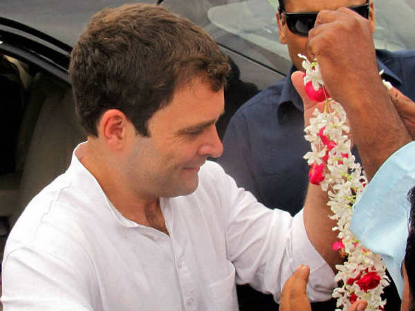 Rahul Gandhi Rahul Gandhi