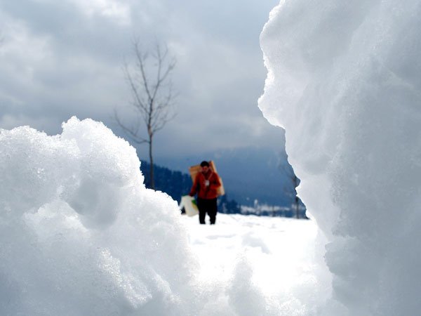 क्‍या करें क्‍या न करें 