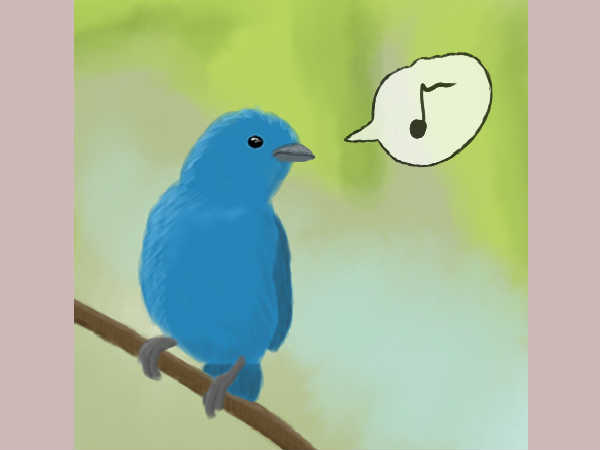 Turkey bans Twitter Turkey bans Twitter