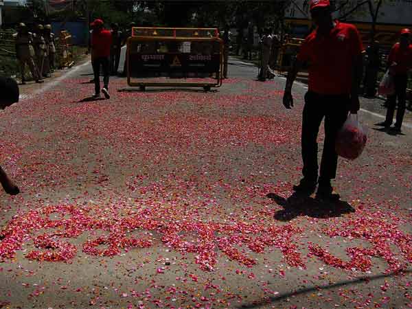 डिंपल यादव के लिये बिछाये गये फूल