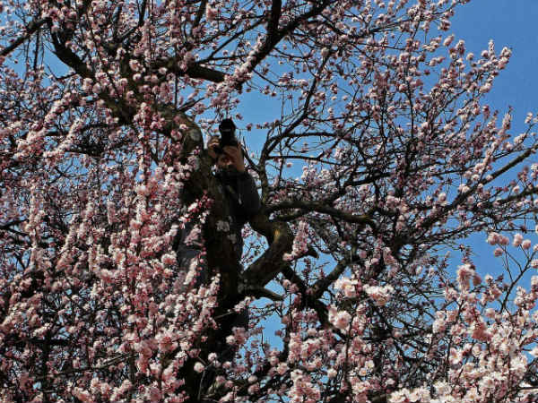 घंट‍ियां ही घंट‍ियां 