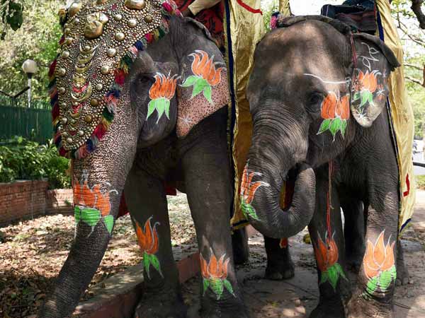 गोंडा से भाजपा के कीर्तिवर्धन सिंह जीते गोंडा से भाजपा के कीर्तिवर्धन सिंह जीते