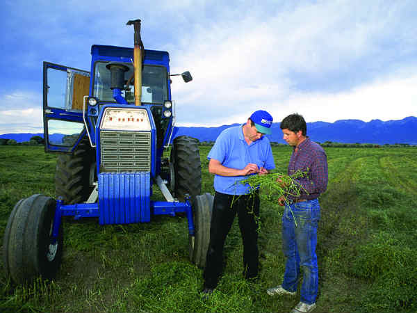 कृषि कृषि