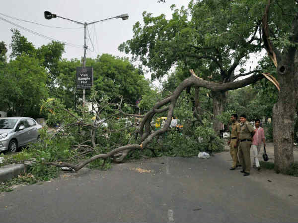 आंधी से नहीं बच सका फरीदाबाद भी 