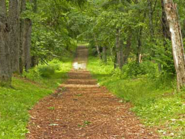 'महान' की खूूबसूरती 