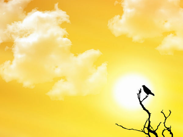 जल रहा है उत्तर भारत जल रहा है उत्तर भारत