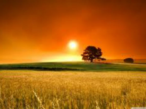 तपाएंगी राजस्थानी हवाएं तपाएंगी राजस्थानी हवाएं