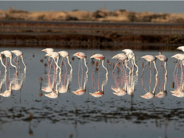 बिजली-पानी से बेहाल बिजली-पानी से बेहाल