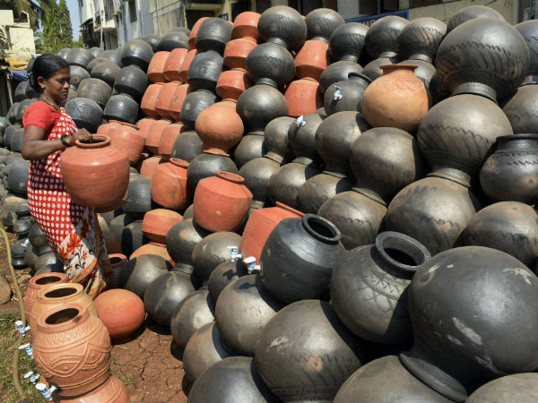 कैसे उगाए फसल कैसे उगाए फसल