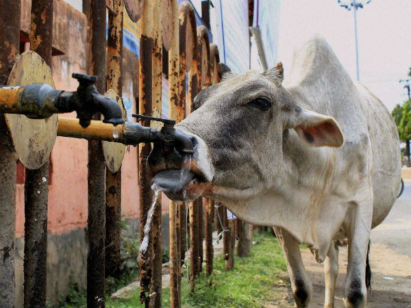 सूख रहें है नहीं-नाले