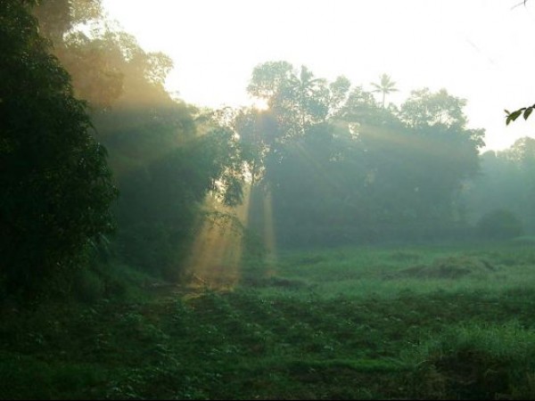 ग्रीन-हाऊस गैस