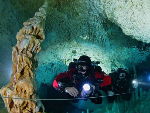 गोताखोरों की पसंद गोताखोरों की पसंद