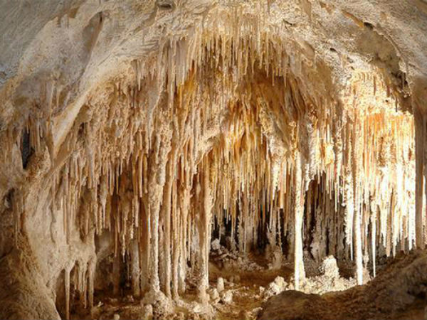 पर्यटकों की पसंद पर्यटकों की पसंद